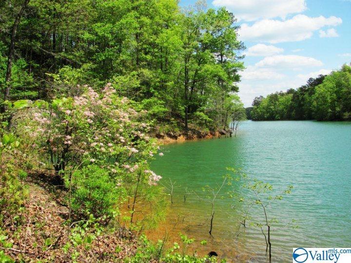 298 Camp Corinth Trail - Photo 1