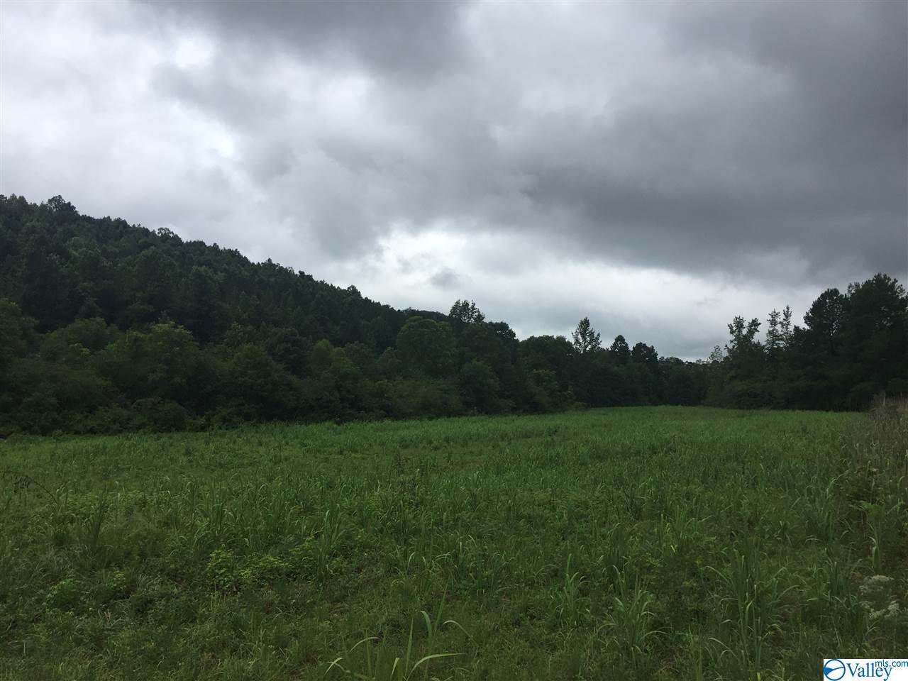 County Road 494 - Photo 1