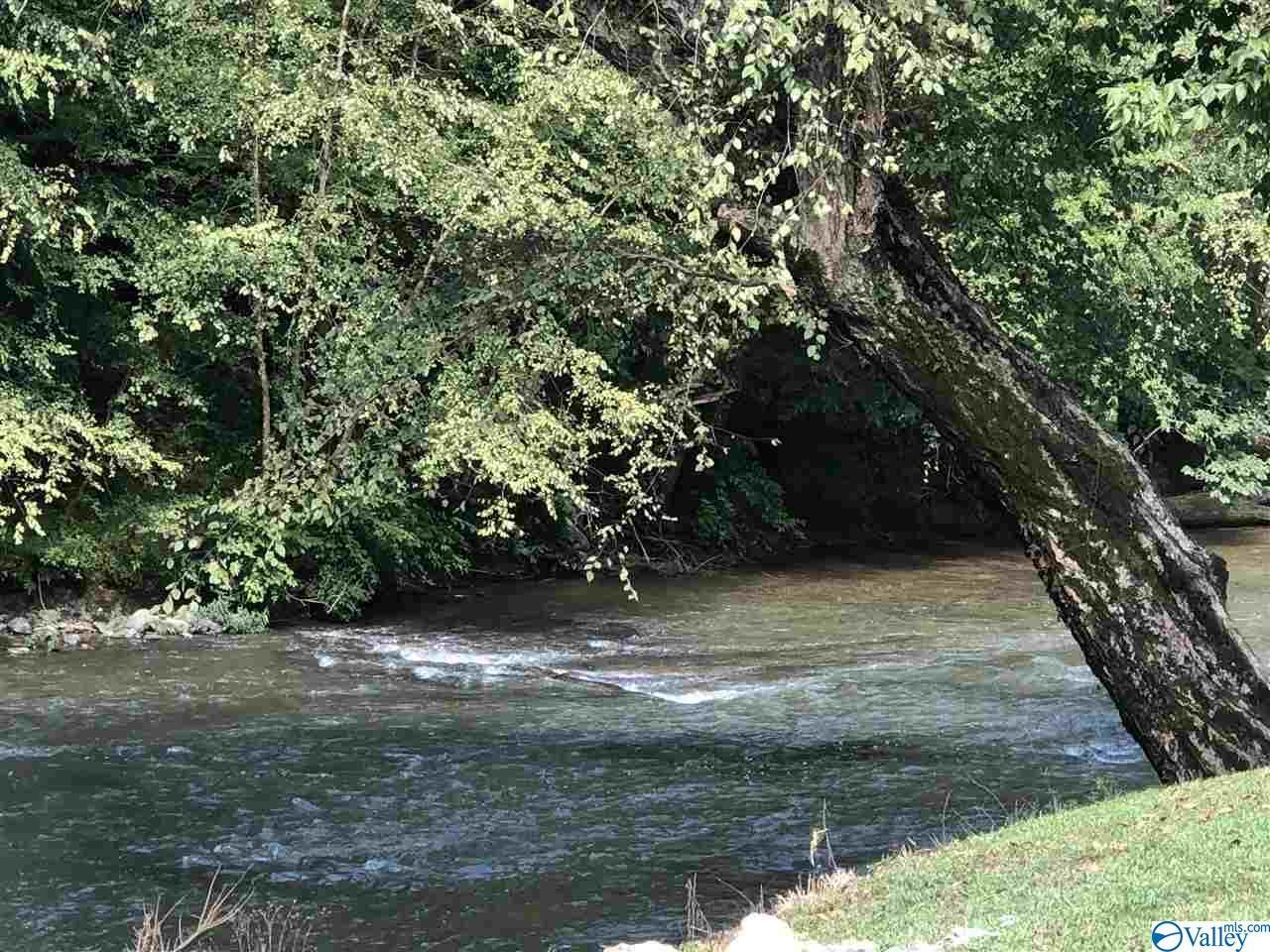 390 County Road 459 - Photo 1