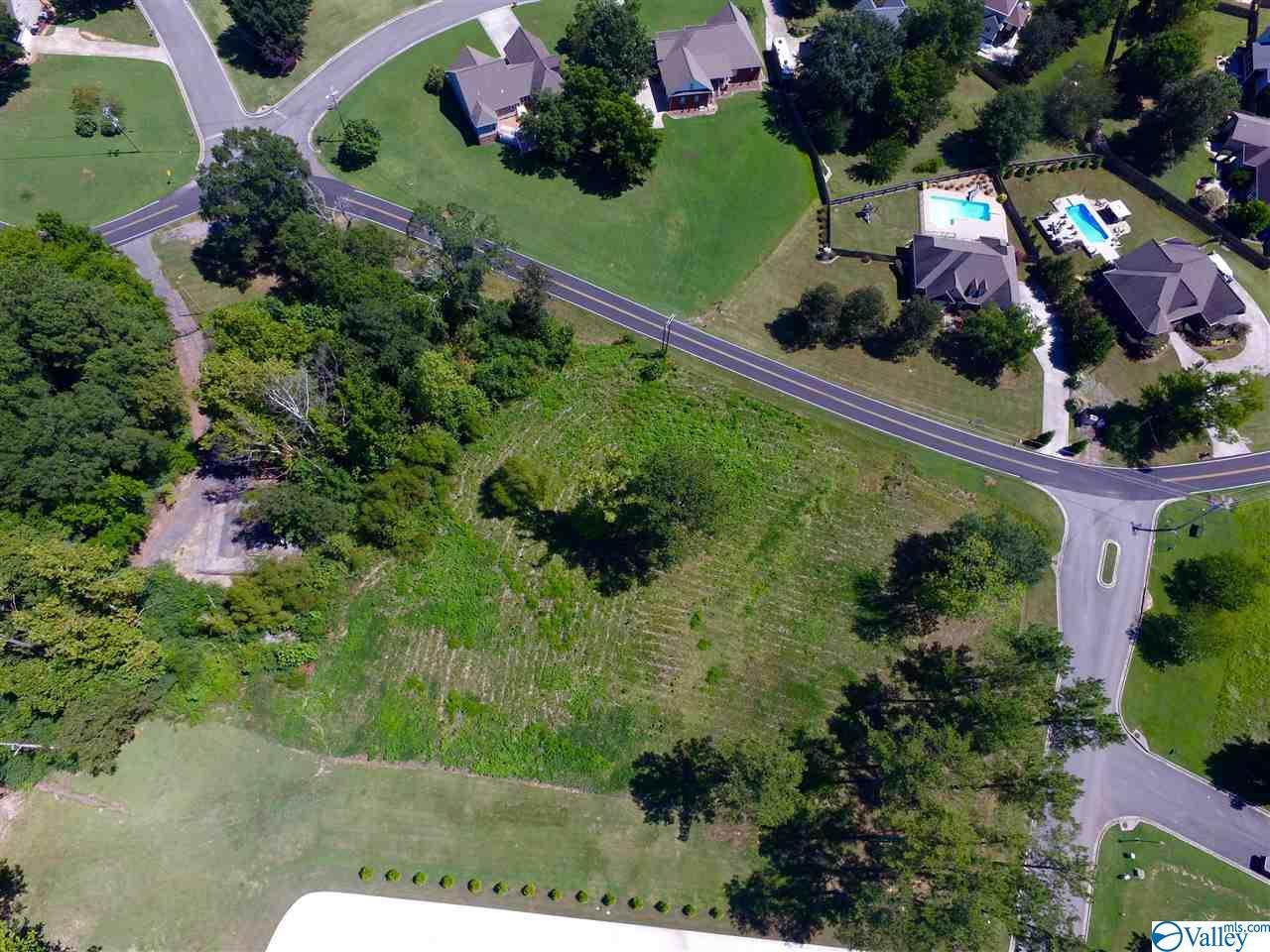 Lot 1 Lake Creek Drive - Photo 1