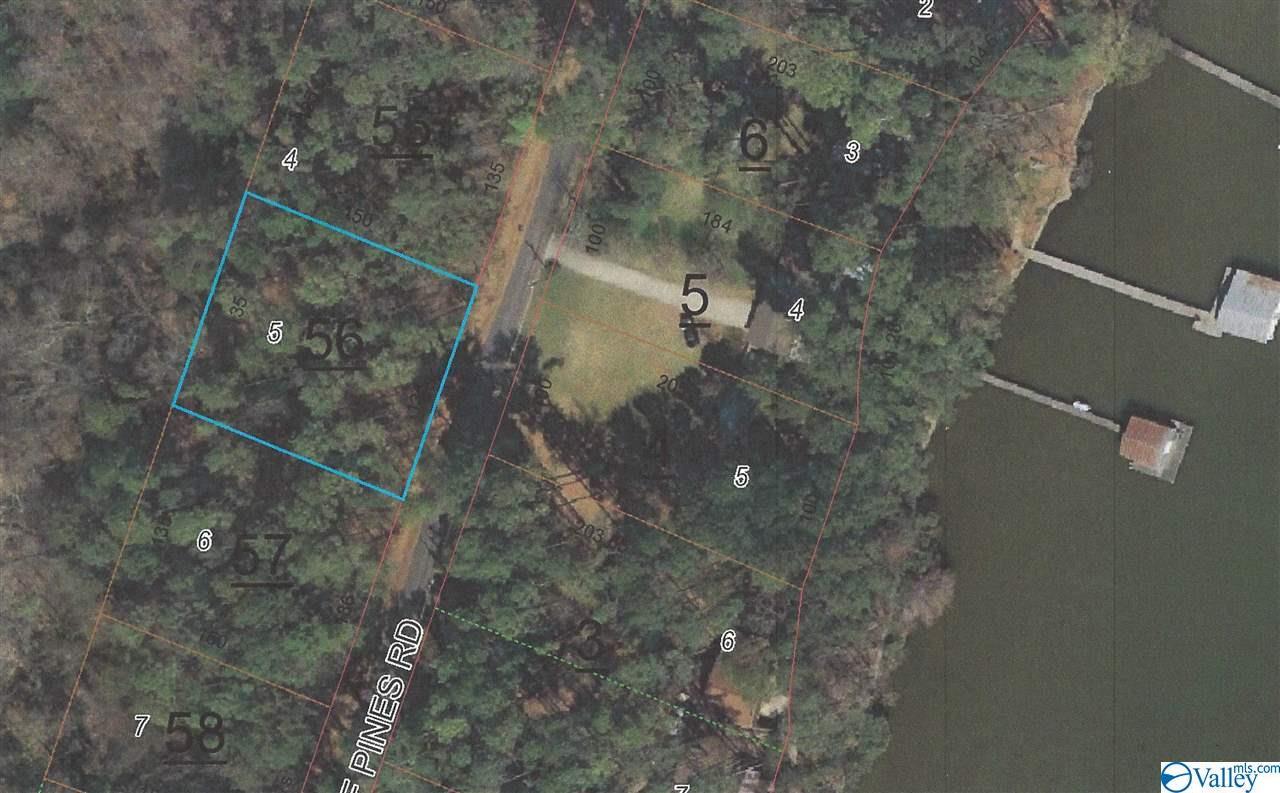 Point Of Pines - Photo 1