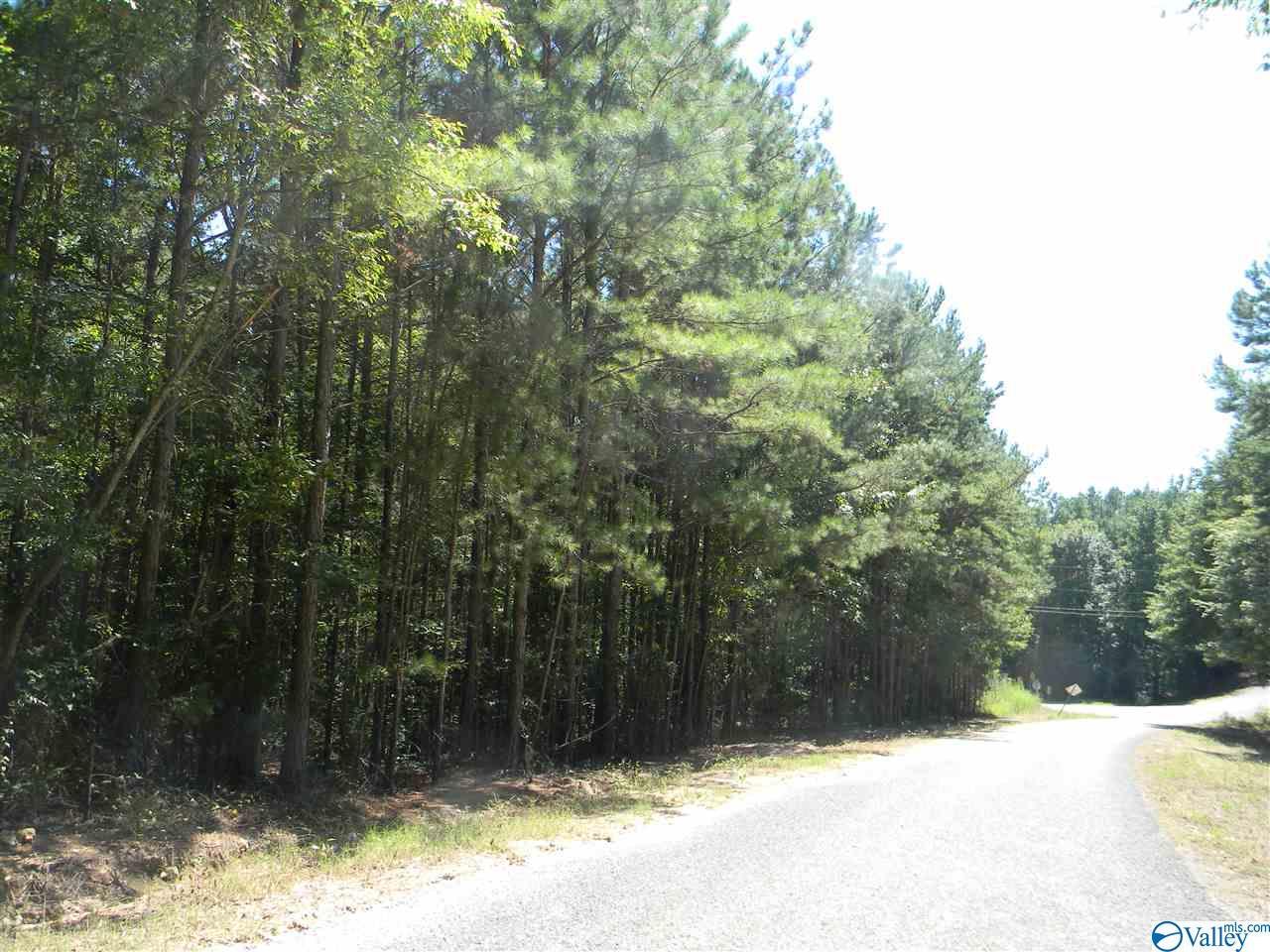 Anna Drive - Photo 1