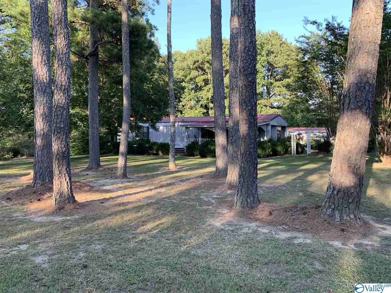 9332 Us Highway 231 - Photo 1