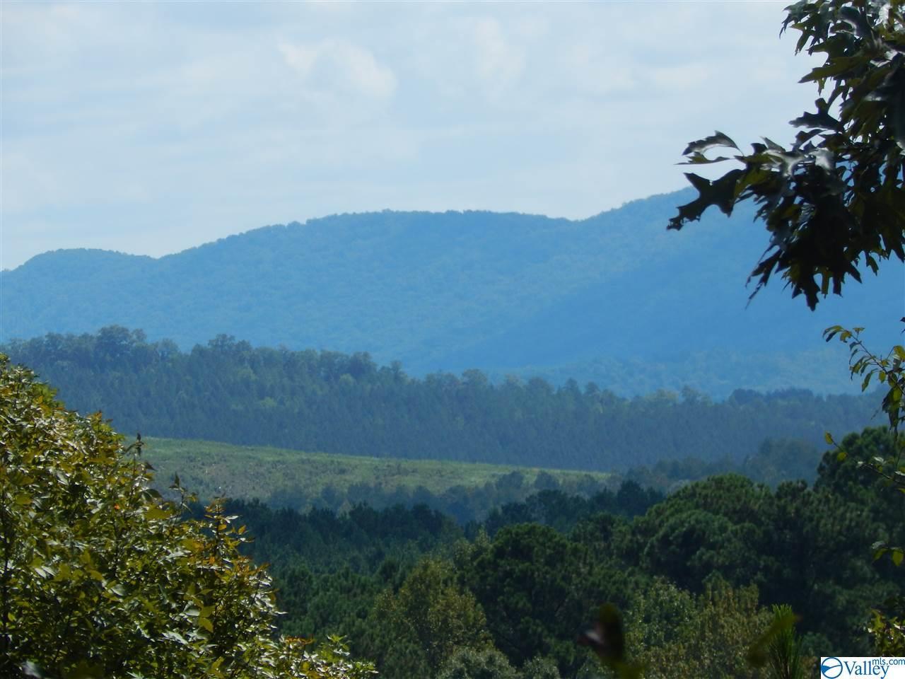 0 County Road 91 - Photo 1