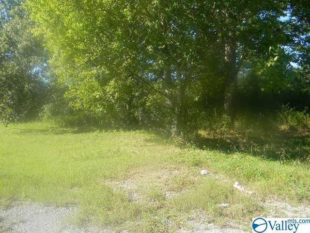 0 Hwy 67 - Photo 1
