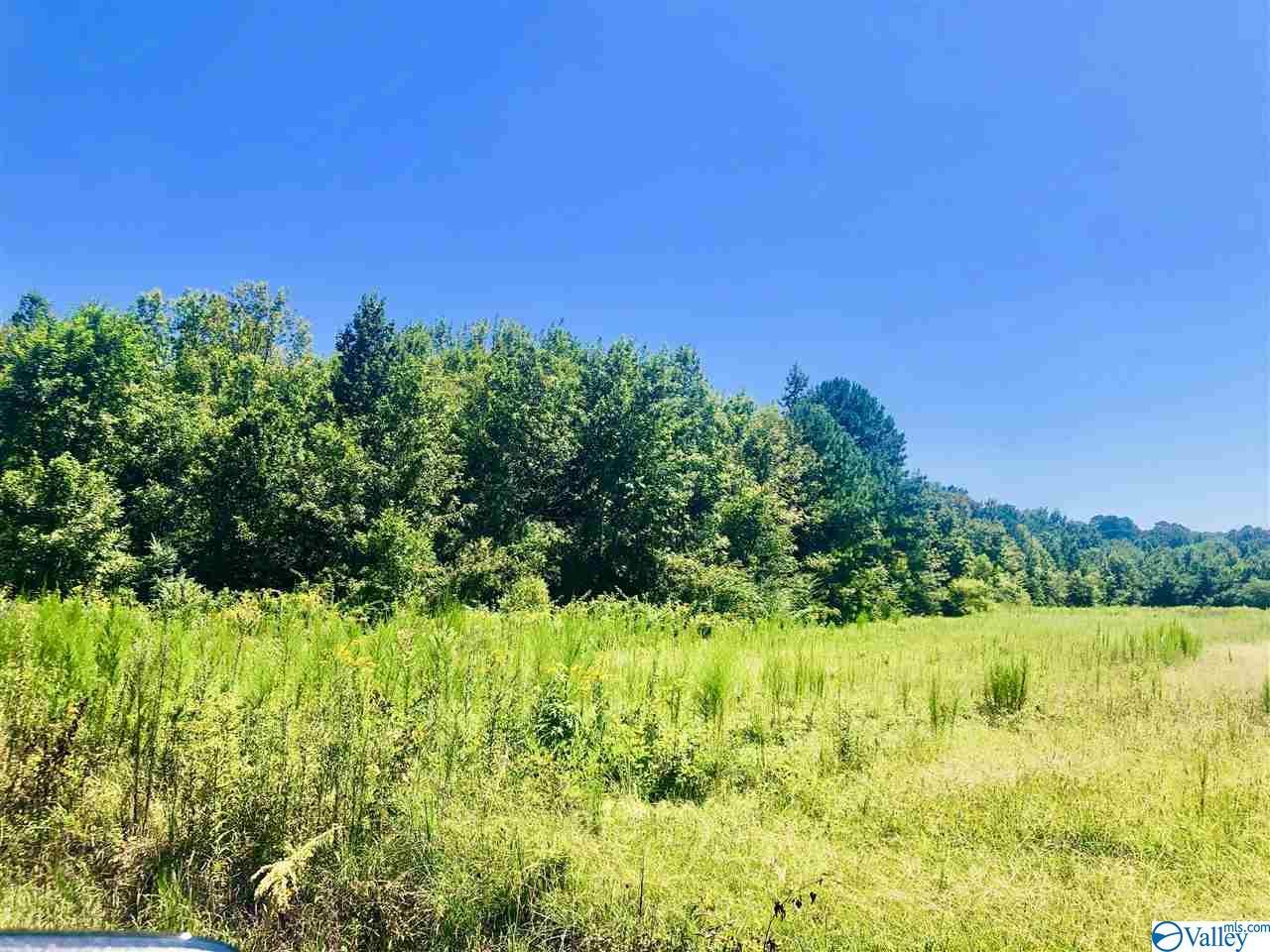12 County Road 107 - Photo 1