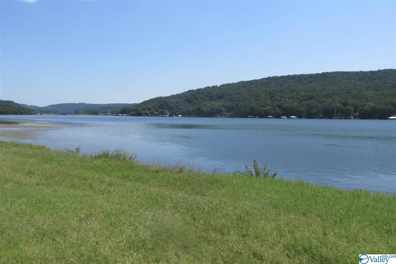 27514 Hwy 431 - Photo 1