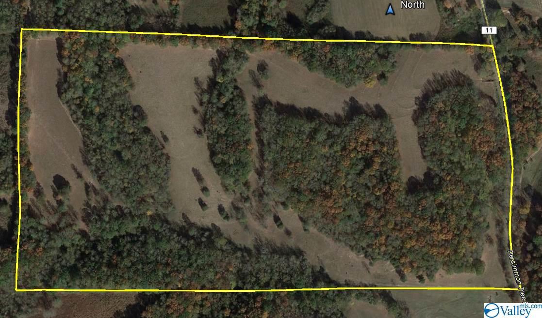 Persimmon Tree Road - Photo 1