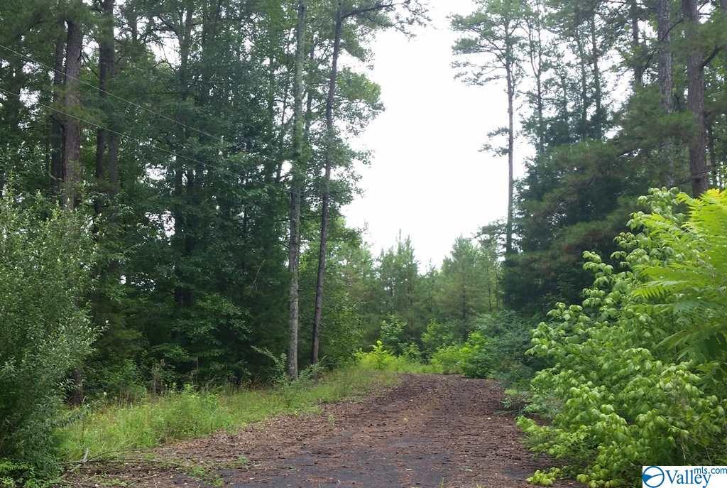 County Road 732 - Photo 1