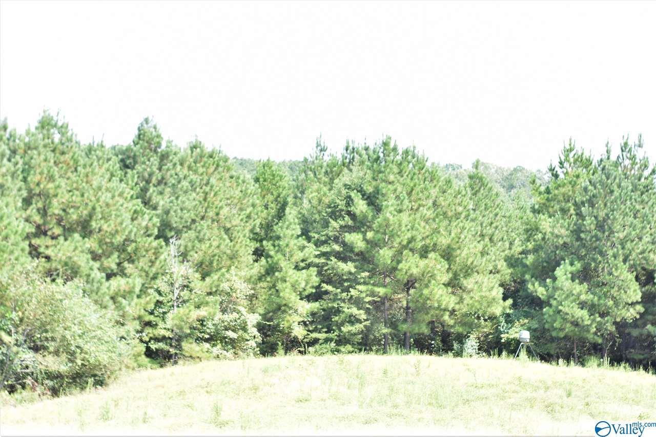 0 Us Hwy 278 - Photo 1