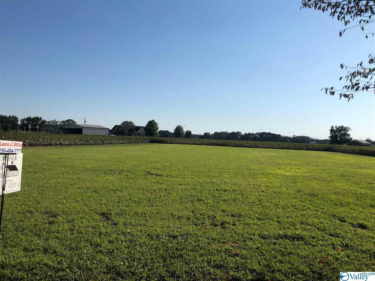 Lot 9 Little Nose - Photo 1