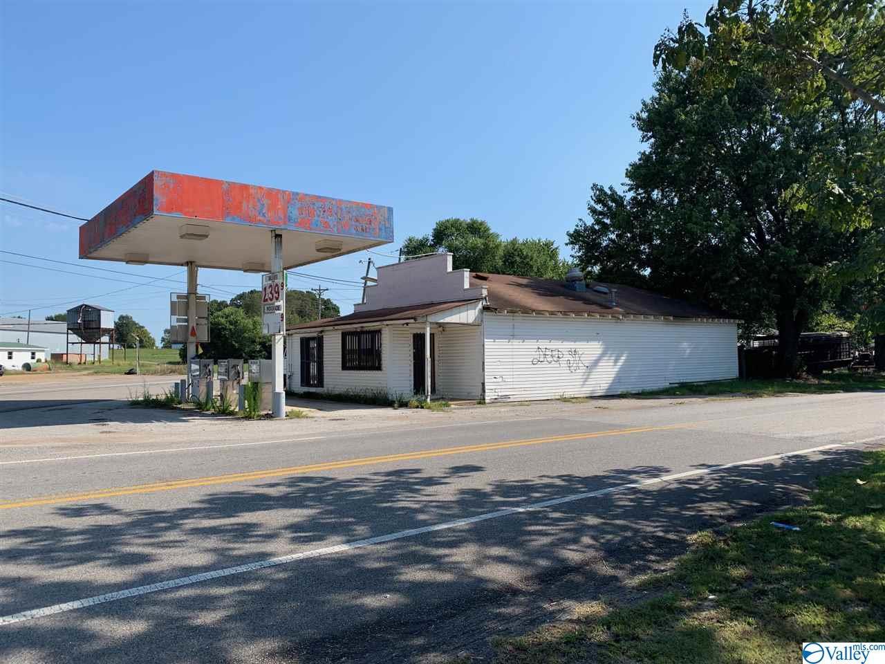 17930 Alabama Hwy 251 - Photo 1