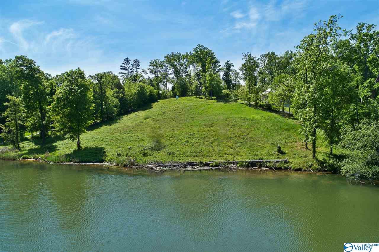 102 Signal Point Drive - Photo 1