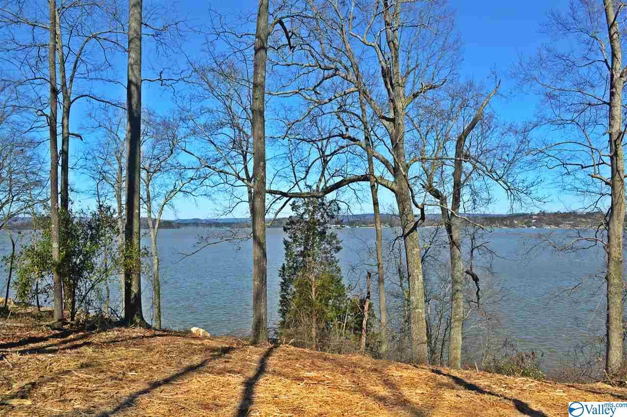 Lot 86 Signal Point Circle - Photo 1