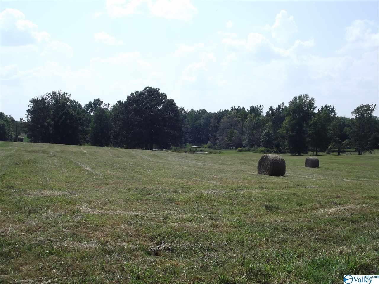 149 Crystal Springs Road - Photo 1
