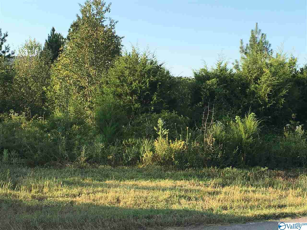 Killingsworth Cove Road - Photo 1