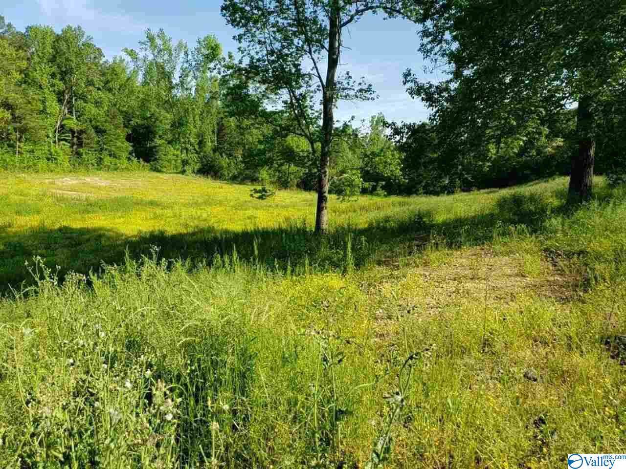 9270 Barker Road - Photo 1 9270 Barker Road - Photo 1