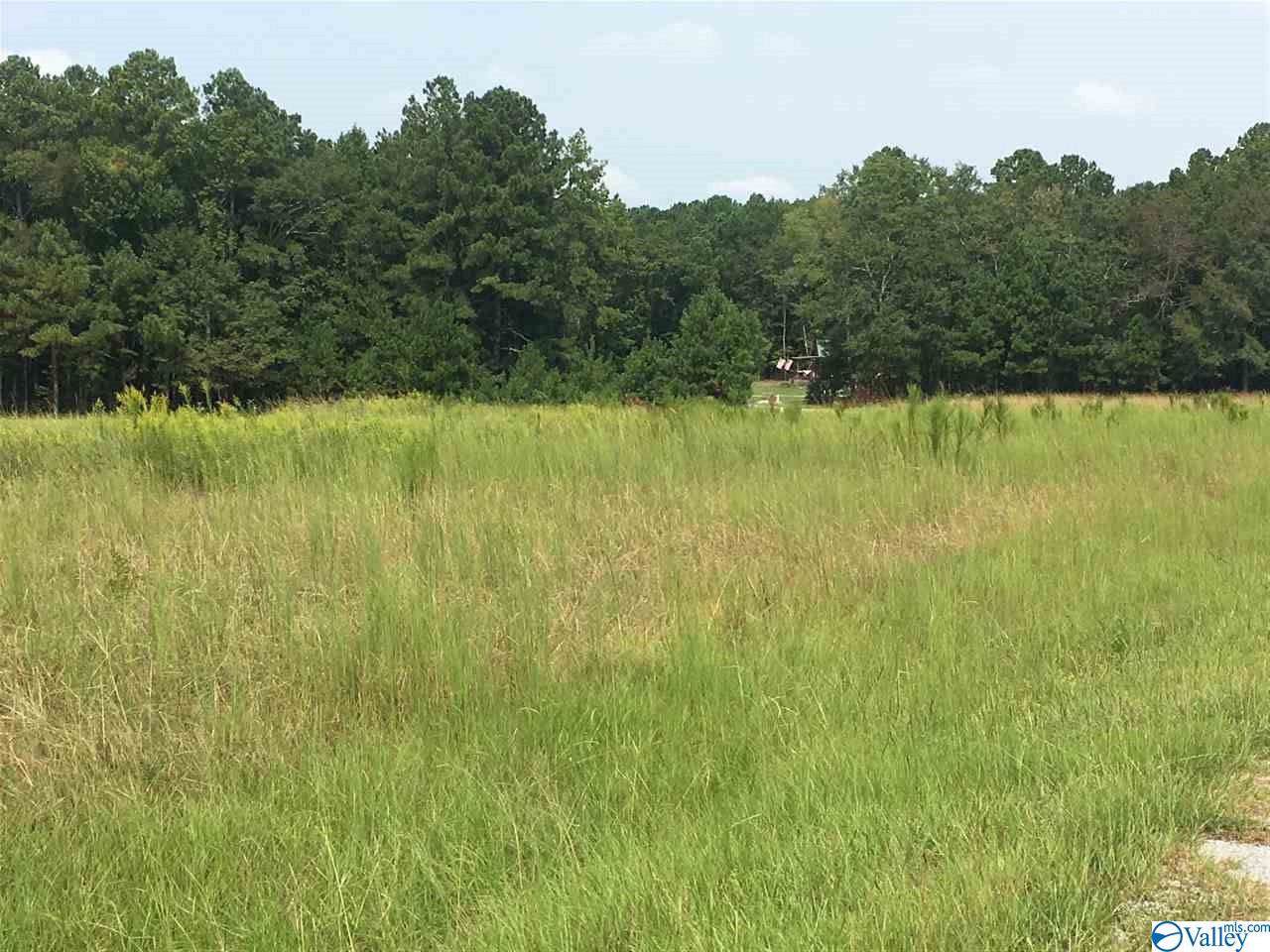 Lot 16 County Road 580 - Photo 1 Lot 16 County Road 580 - Photo 1