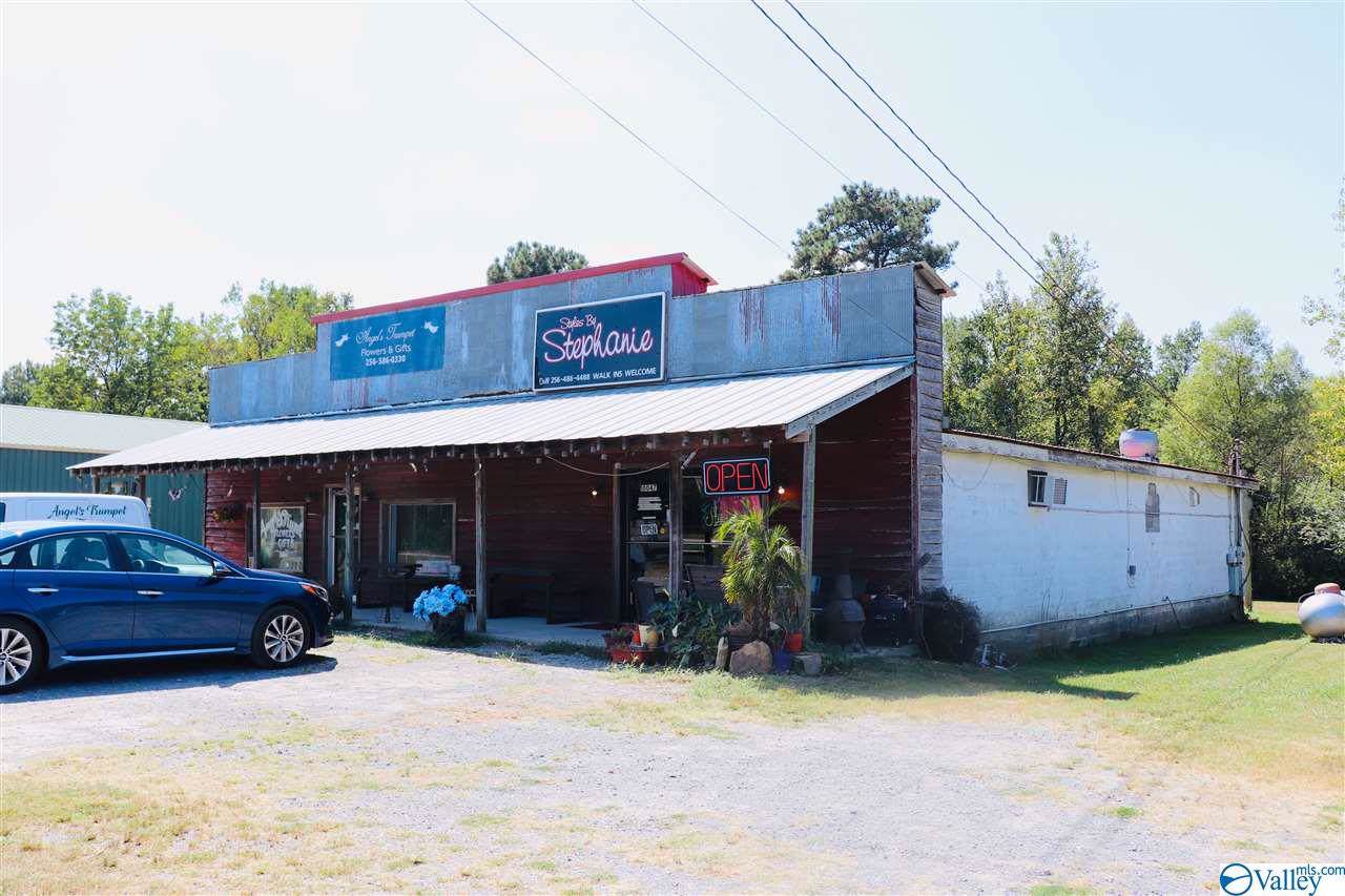 10047 Us Hwy 231 - Photo 1