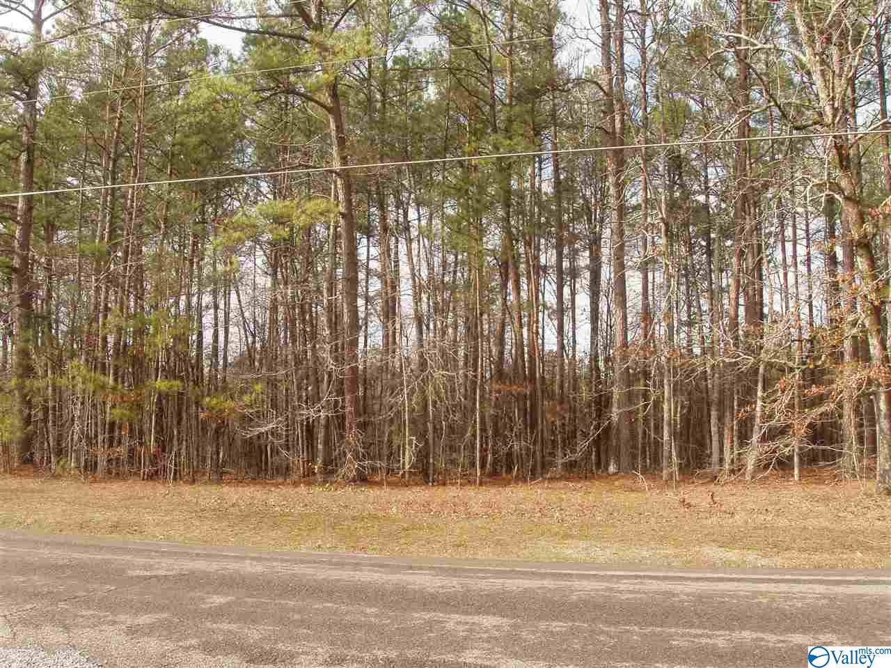 Lot 6 Country Club Drive - Photo 1 Lot 6 Country Club Drive - Photo 1