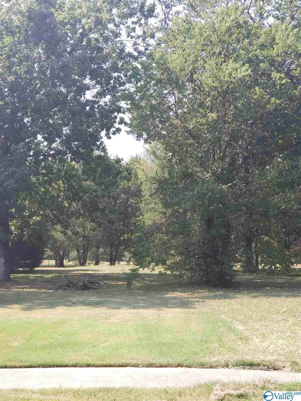 6419 Green Meadow Road - Photo 1
