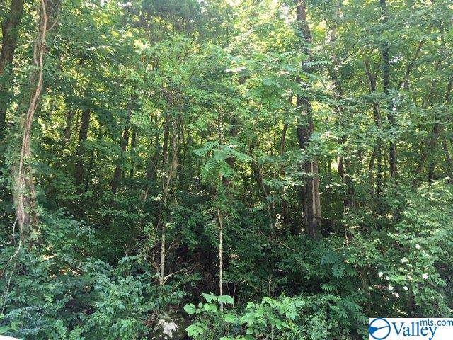 2204 Colice Road - Photo 1