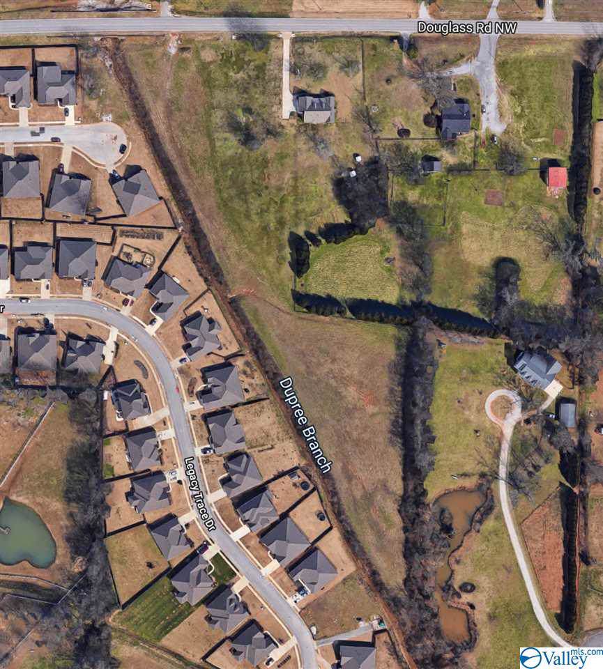 1042 Douglass Road - Photo 1