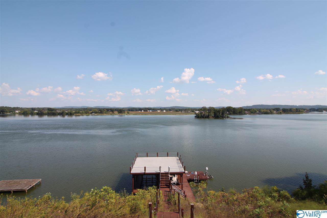 100 Horseshoe Bend Road - Photo 1