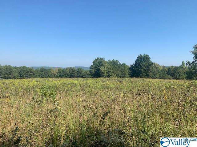 40 Pine Grove Road - Photo 1