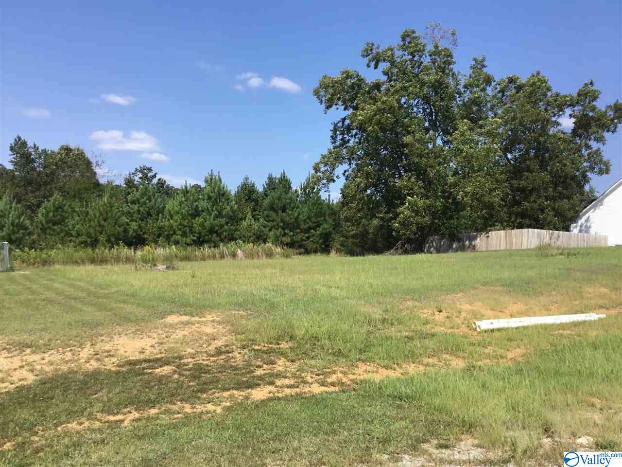 3324 Joel Street - Photo 1