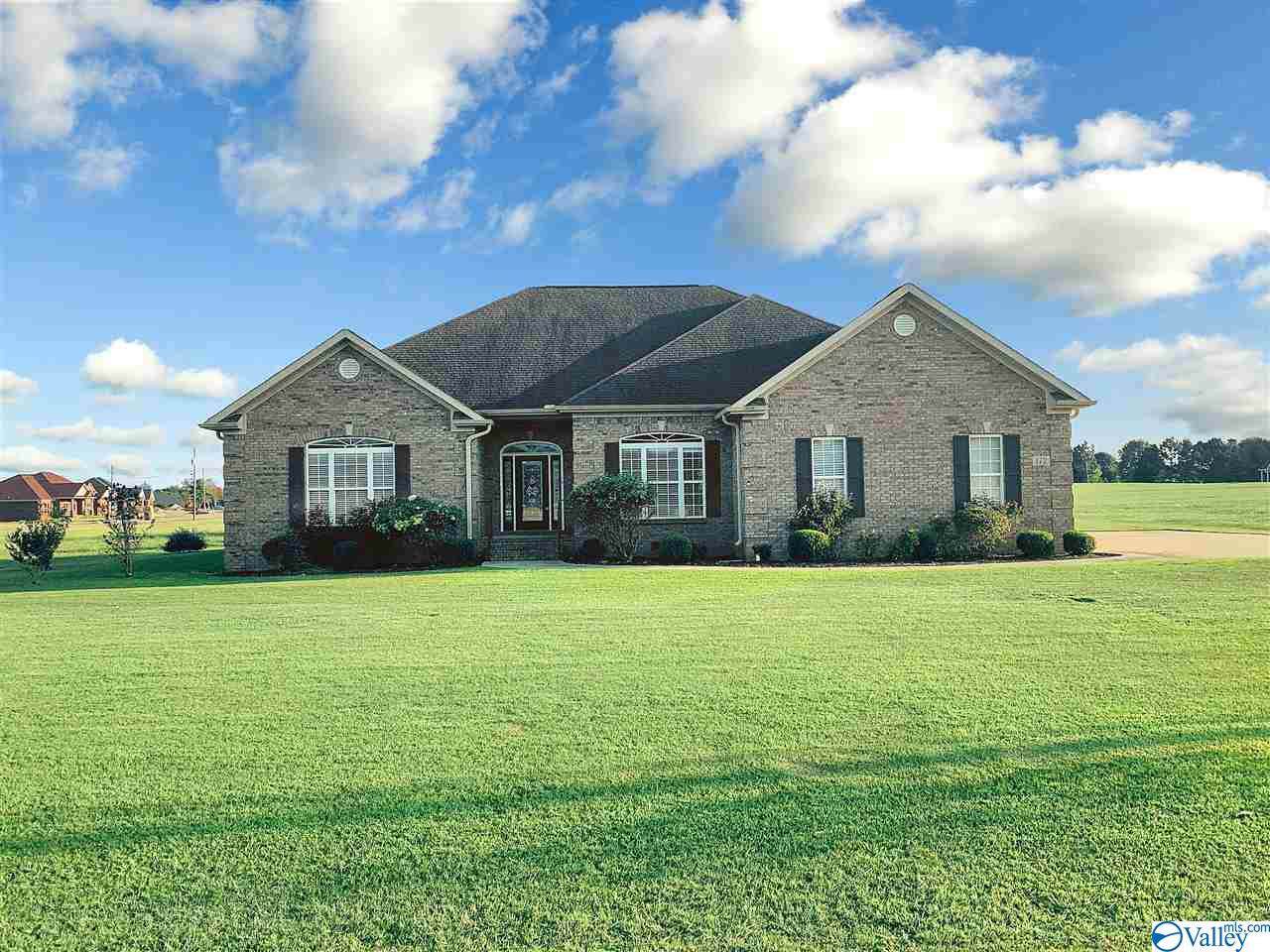 172 Pike Parvin Road - Photo 1