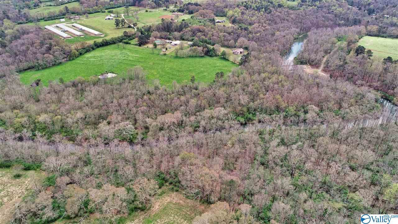 491 County Road 1672 - Photo 1