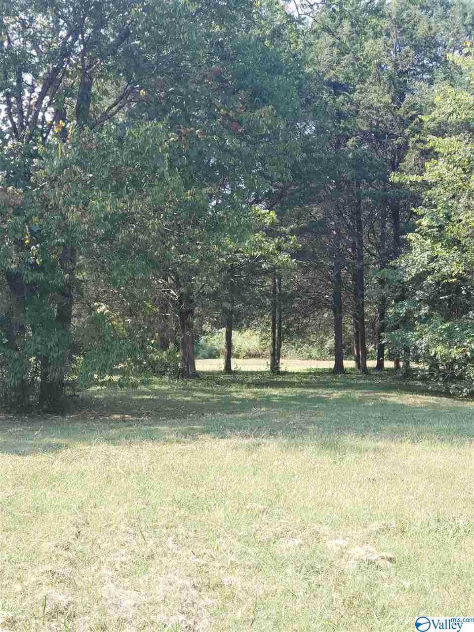 6417 Green Meadow Road - Photo 1