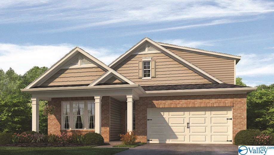 28604 Blythe Lane - Photo 1