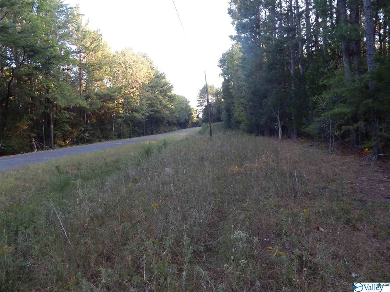 000 County Road 280 - Photo 1