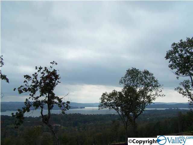 391 October Way - Photo 1