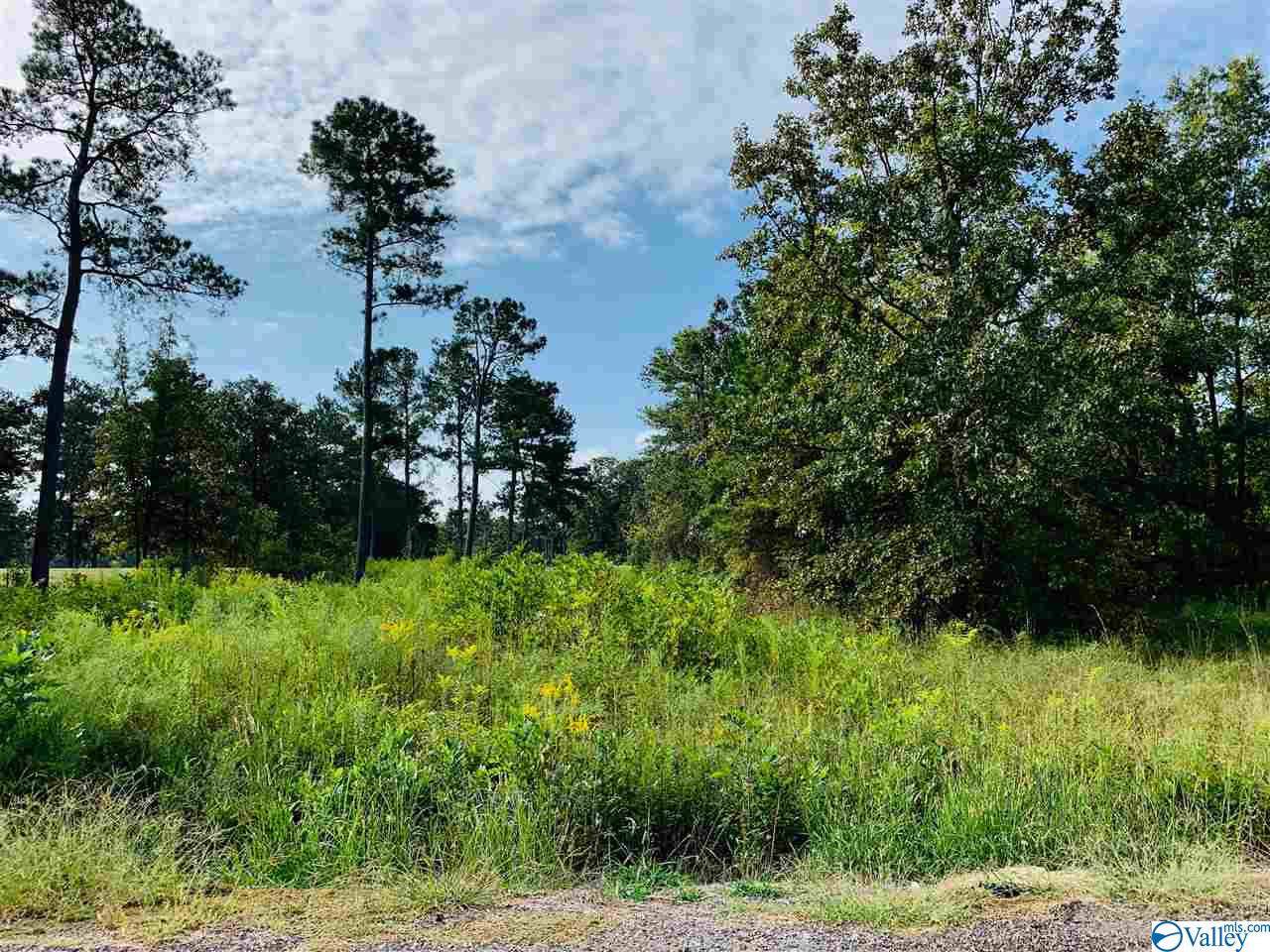0 County Road 380 - Photo 1