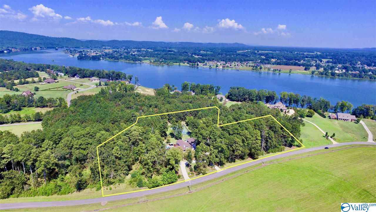 411 Guy Lee Lake Road - Photo 1