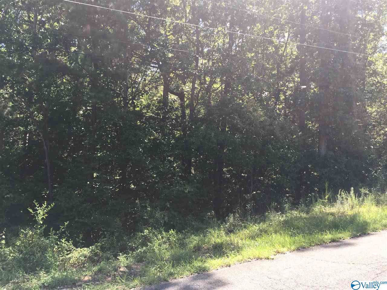 0 Henrietta Place - Photo 1