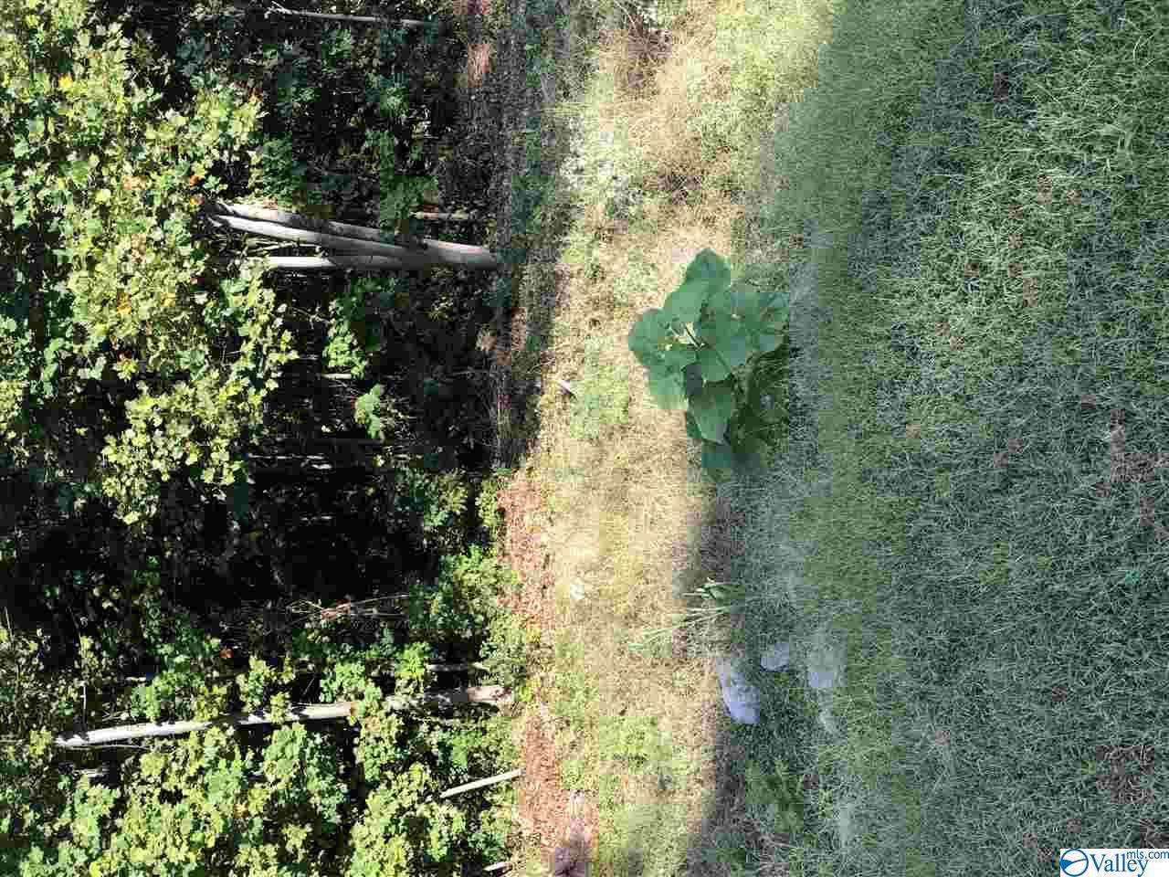 0 Wildwood Road - Photo 1