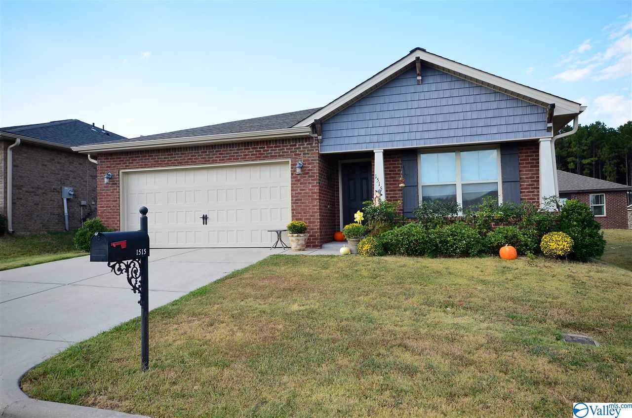 1515 Joy Street - Photo 1