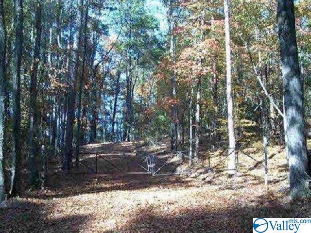 County Road 730 - Photo 1