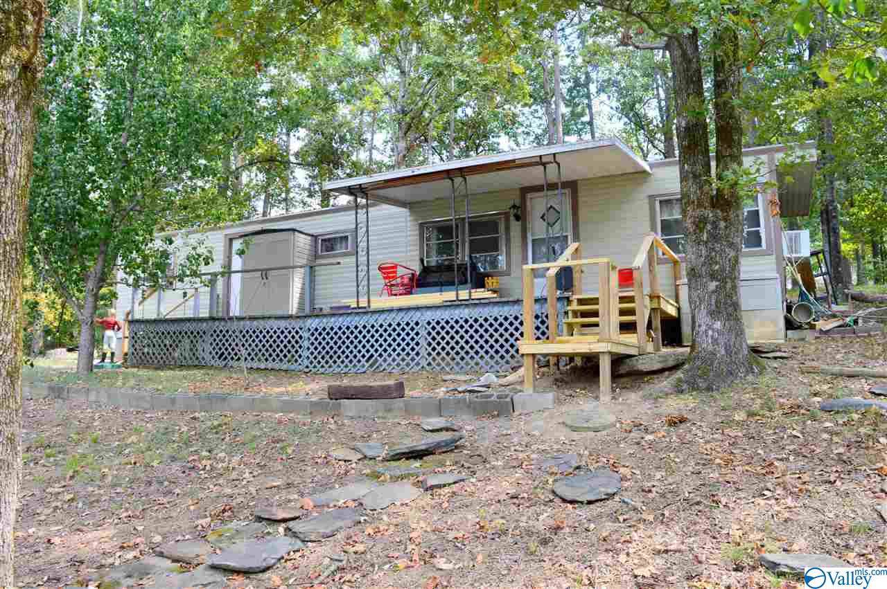 1045 County Road 251 - Photo 1