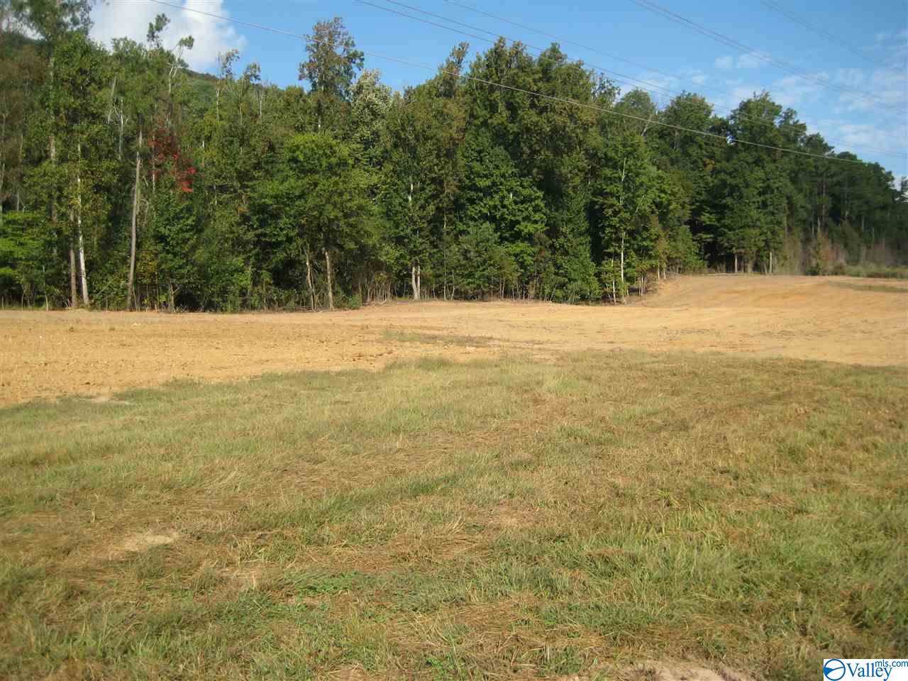 0 Dug Hill Road - Photo 1