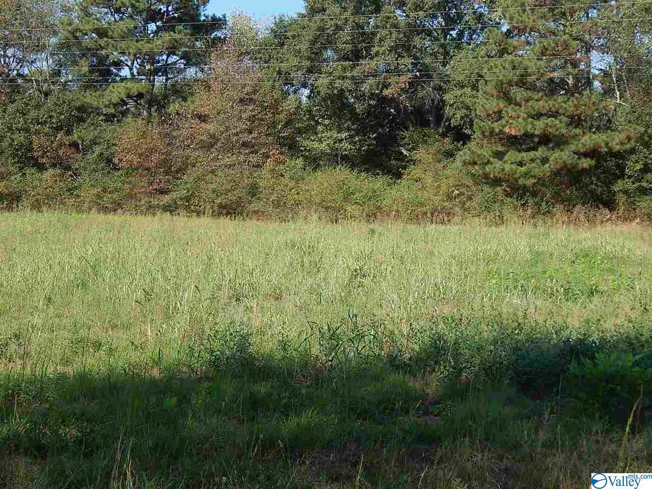 Blakely Road - Photo 1
