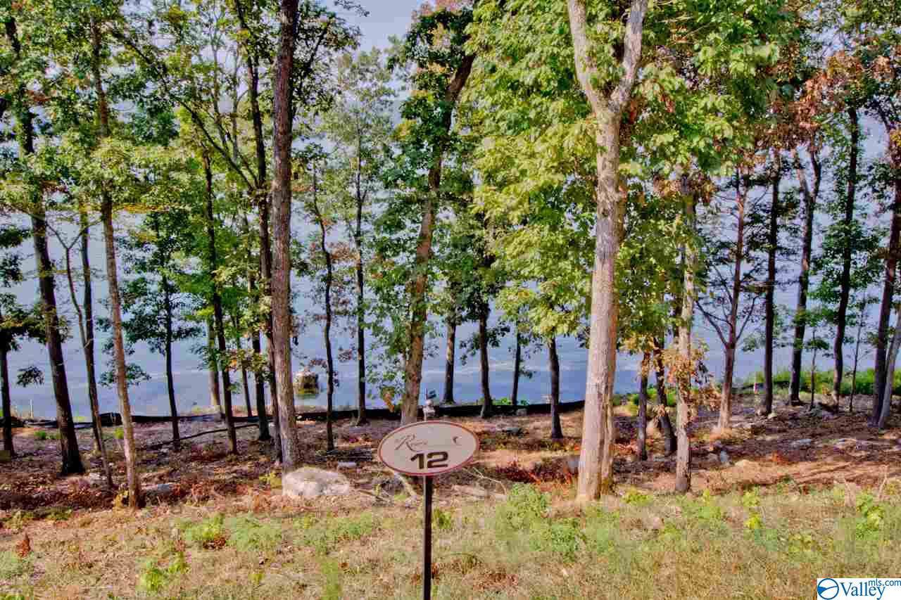 12 Reserve Drive - Photo 1