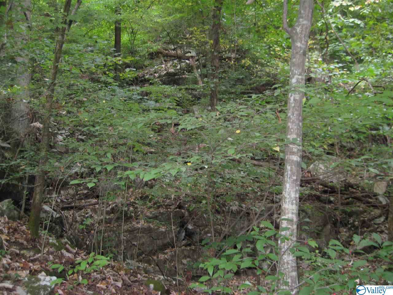 Dug Hill Road - Photo 1 Dug Hill Road - Photo 1