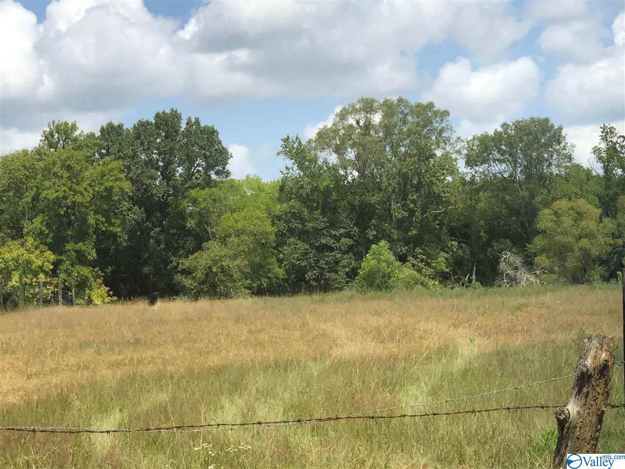0 County Road 226 - Photo 1