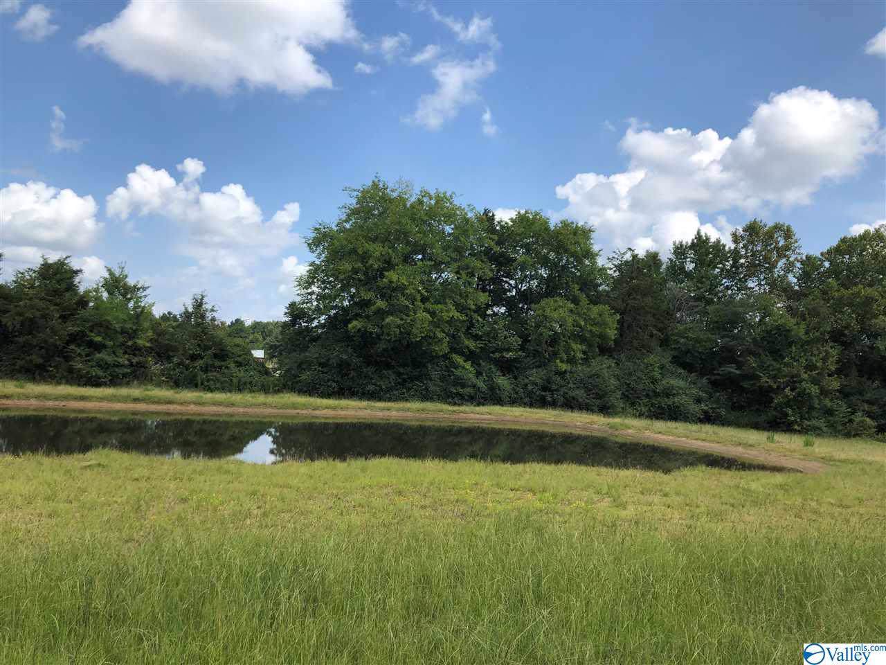 00 County Road 226 - Photo 1