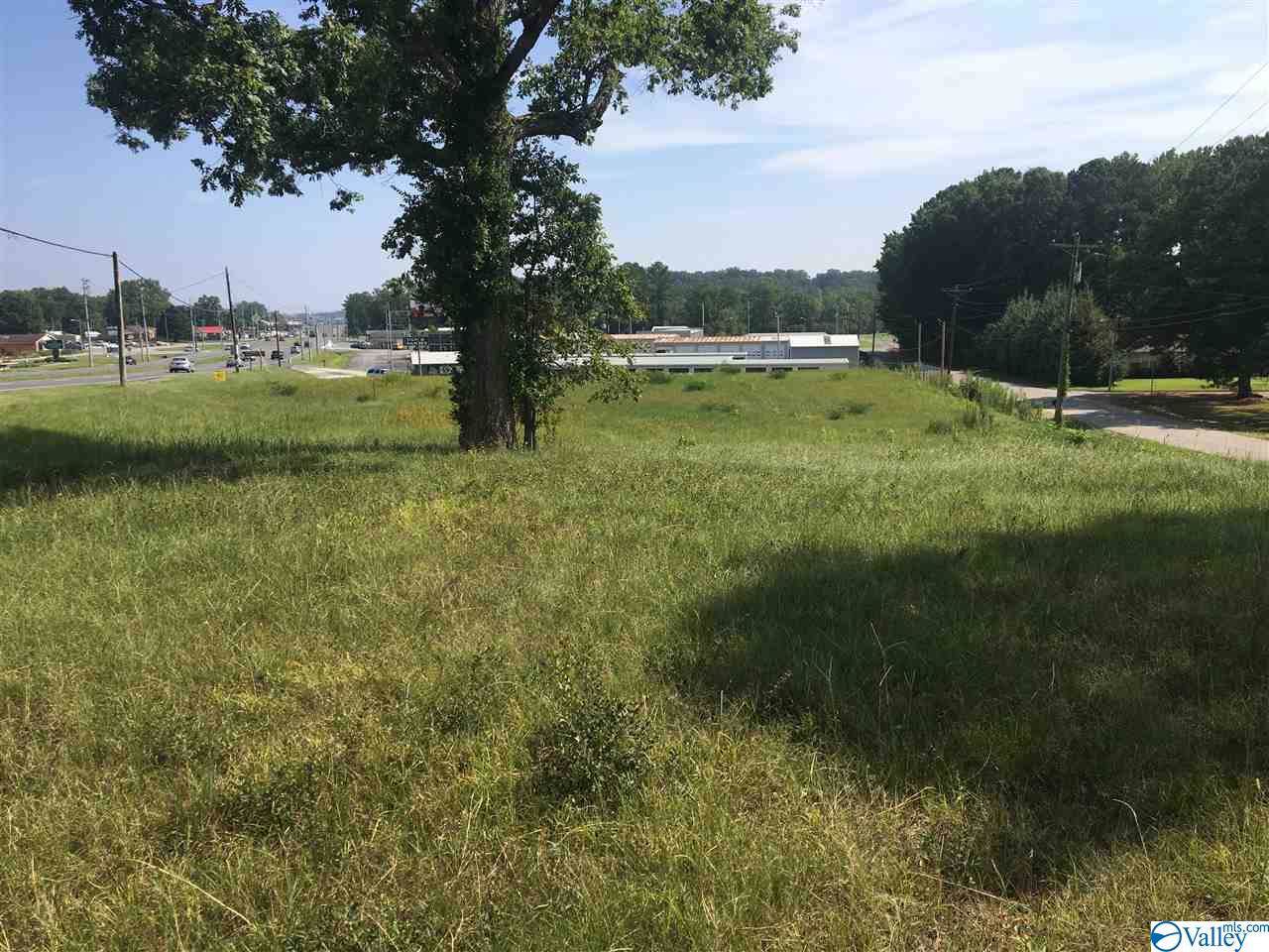 0 Us Hwy 31 - Photo 1